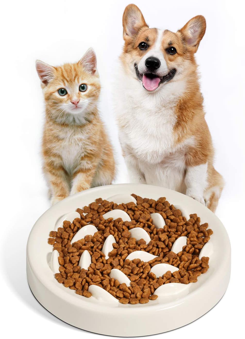愛犬・愛猫の早食いを防止する食器はなぜいいの?